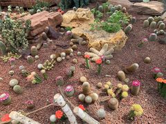 -南通洲际绿博园