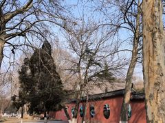 -百脉泉景区
