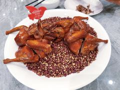 -朱记乳鸽王·非遗石岐乳鸽·全鸽宴(大兴旗舰店)