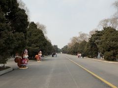 -北陵公园
