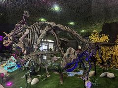 -诸城市恐龙博物馆