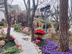 -青岛海滨风景区小鱼山
