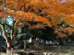 -苏州大学(天赐庄校区)