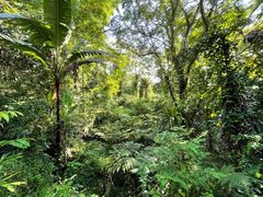 -武吉知马自然保护区