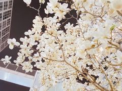 -Mesa Madre梅萨妈妈·Bintana(国贸店)