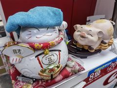 -星光摄影器材城