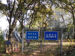 -南京老山国家森林公园