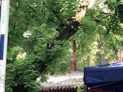 -北京市鼓楼中医医院(北院区)