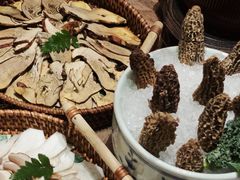 -蘑界·野生菌火锅(深业上城店)