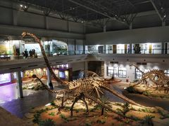 -自贡恐龙博物馆