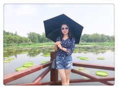 -荷塘月色湿地公园·向阳花洲