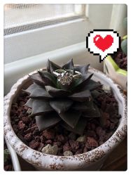 -威德钻石-克拉钻大本营(南京东路店)