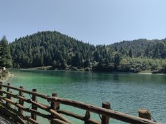 -武陵山森林公园