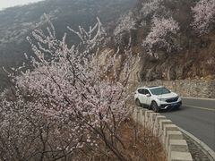 -妙峰山风景名胜区