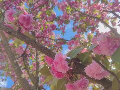 -名花谷生态庄园