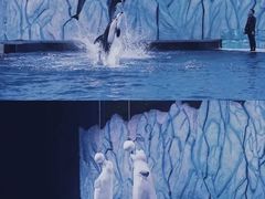 -珠海长隆海洋王国