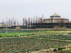 -乌村