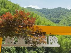 -将军关探险漂流