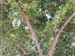 -晓港公园