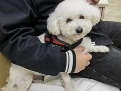 -美联众合动物医院·24h转诊中心