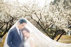 点击看大图 -太郎花子婚纱摄影艺术中心