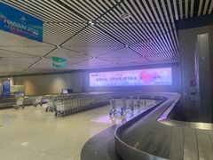 -哈尔滨太平国际机场-T2航站楼