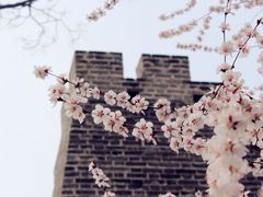 -北京明城墙遗址公园