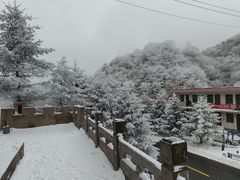 -秦岭风景区
