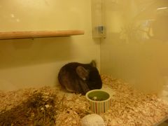 -龙猫仔乐园(惠福东路店)