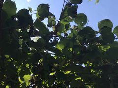 -香山公园-东宫门售票处