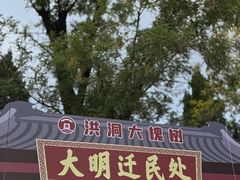 -大槐树寻根祭祖园