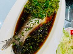 -新雅粤菜馆(南京东路店)