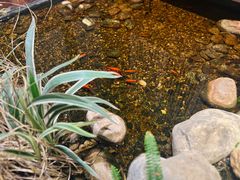 -邈墨茶馆(凤起路店)