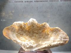 -河南自然博物馆