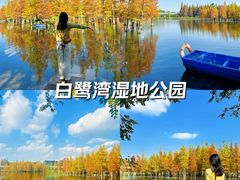 -白鹭湾湿地公园