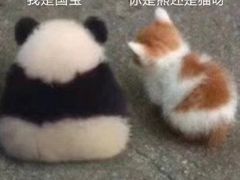 -苏州大学附属第二医院(三香院区)