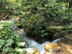 -中国茶叶博物馆(双峰馆区)