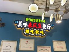 -新概念来凤鱼(璧山店)