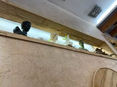 -外婆船宴餐厅·外婆喊你回家吃饭