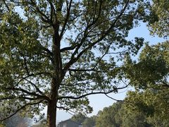 -陶祖圣境风景区