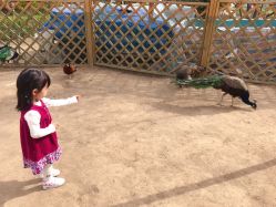 -萌宠亲子动物乐园(槐房万达店)