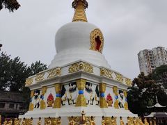 -护国法轮寺
