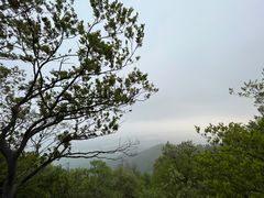 -紫金山山顶公园