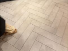 -巴奴毛肚火锅(相州店)