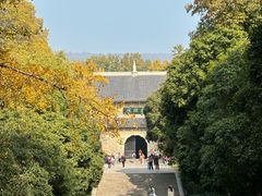 -灵谷景区