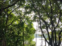 -大湾区中央湿地公园