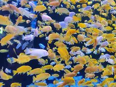 -成都浩海立方海洋公园