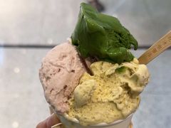 -鹤茶野所(上海首店)