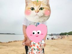 -瑶湖郊野森林公园