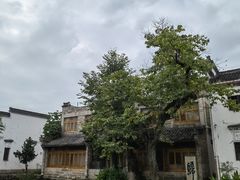 -诗莉莉·厚德堂私房菜